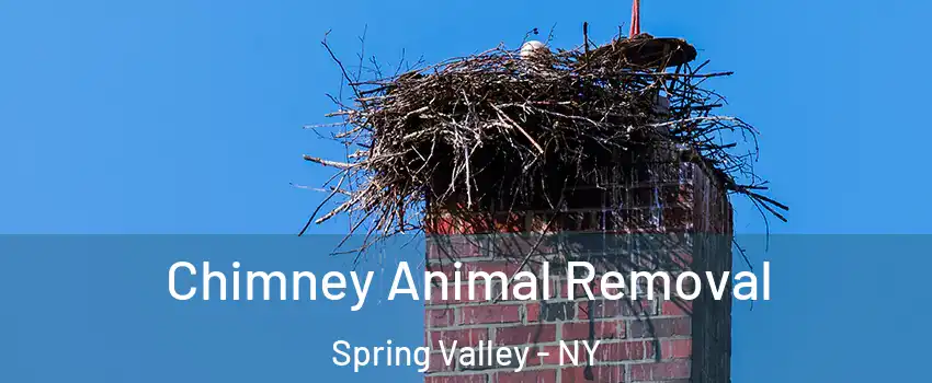 Chimney Animal Removal Spring Valley - NY