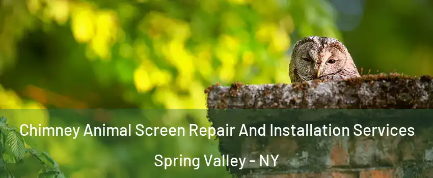  Chimney Animal Screen Repair And Installation Services Spring Valley - NY