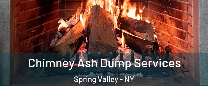  Chimney Ash Dump Services Spring Valley - NY