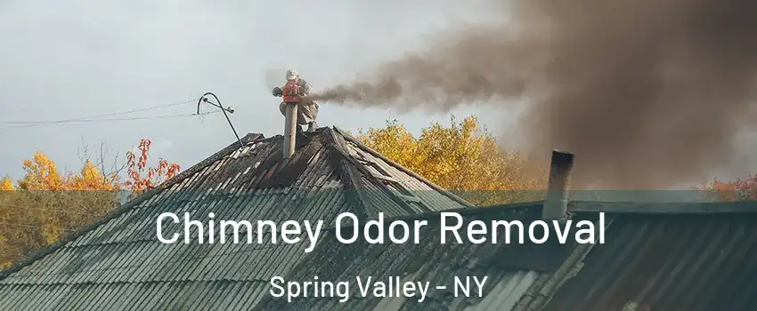  Chimney Odor Removal Spring Valley - NY