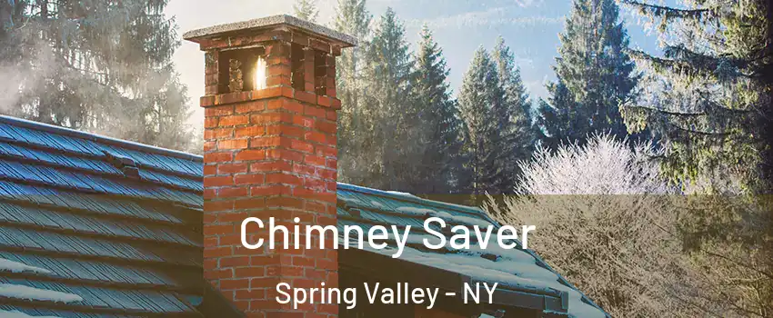  Chimney Saver Spring Valley - NY