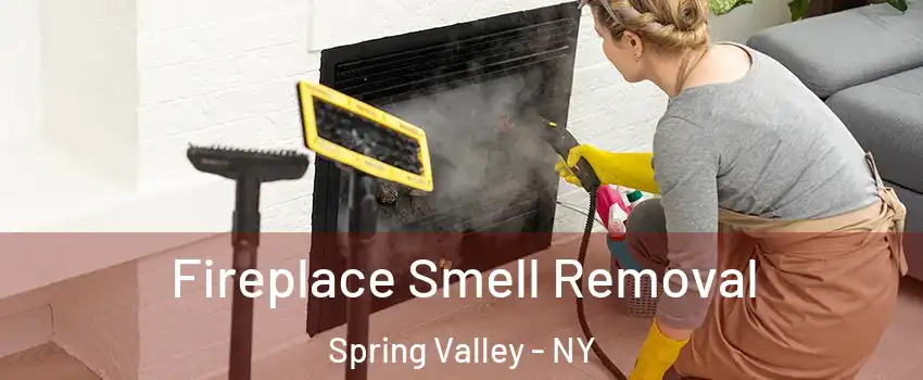  Fireplace Smell Removal Spring Valley - NY