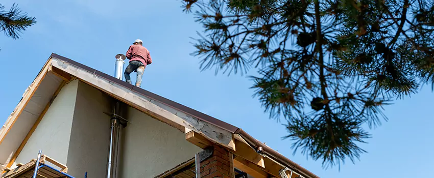 Birds Removal Contractors from Chimney in Spring Valley, NY