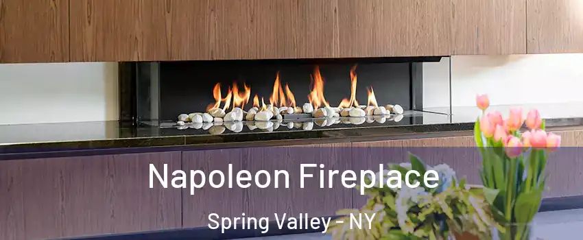  Napoleon Fireplace Spring Valley - NY