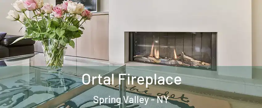 Ortal Fireplace Spring Valley - NY